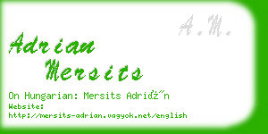 adrian mersits business card